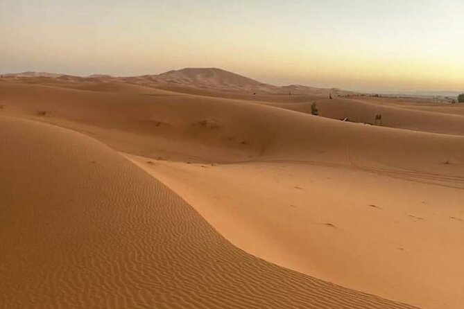 Agadir Sahara Day Trip with Lunch - Price and value: is $38.33 with lunch a smart deal?
