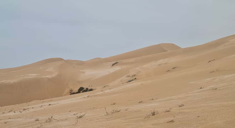 Agadir: Sahara Desert Camel ride & Sandboarding Halfday Trip - Walking, Waiting, and Photographing: using your free dune time