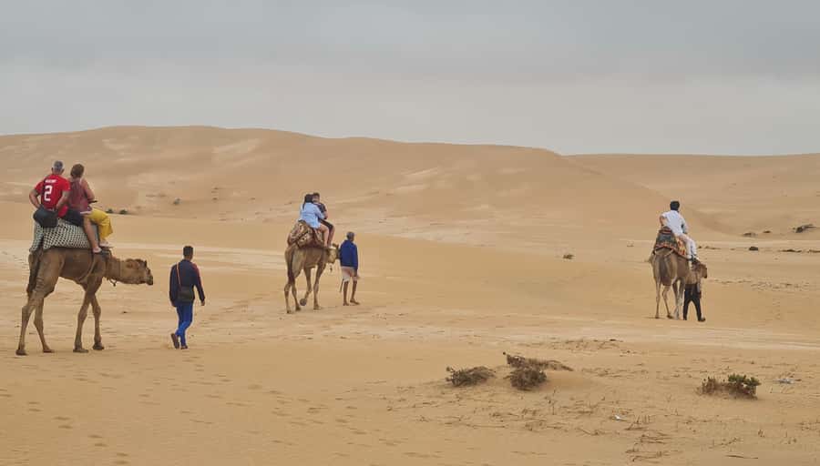 Agadir: Sahara Desert Camel ride & Sandboarding Halfday Trip - Tamri Stop for Photos and Coastal Views