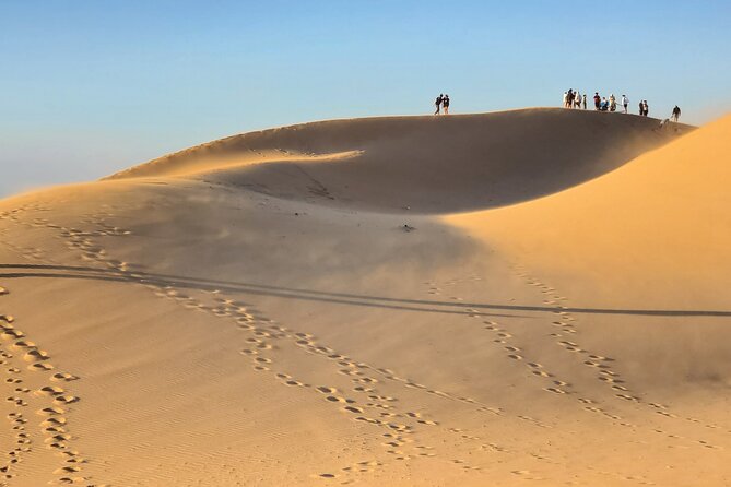 Agadir Sahara Desert & Paradise with camel ride & hotel pickup - Key highlights you’ll feel right away