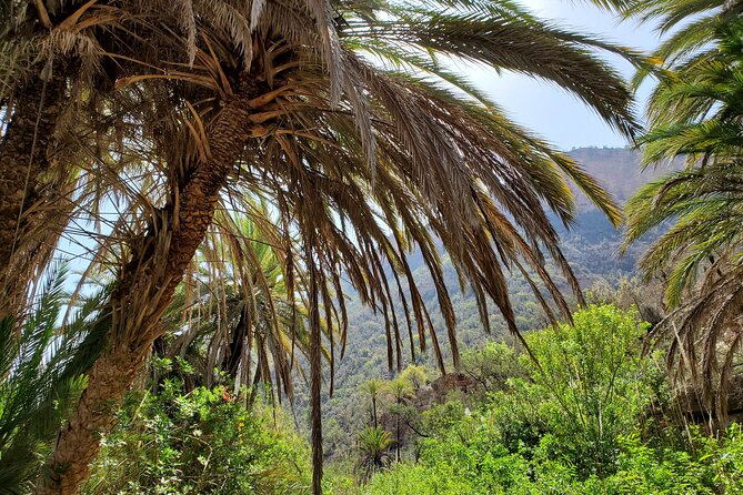 Agadir Sahara Desert & Paradise with camel ride & hotel pickup - Cascades stop and the honey road: photos, Berber villages, and a quick reset