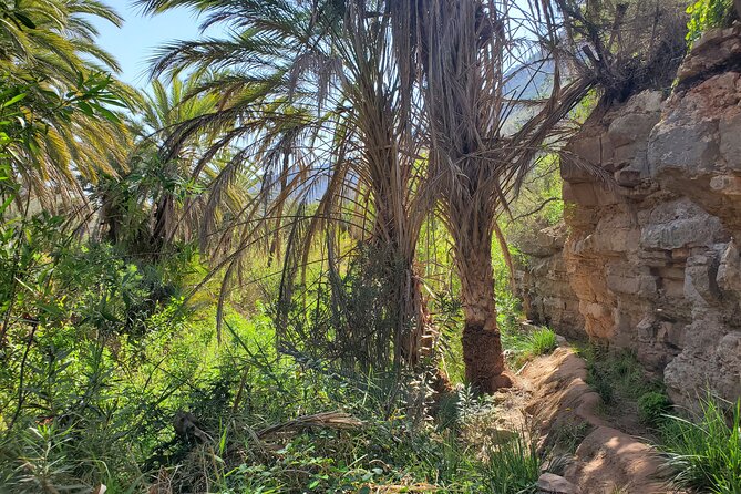 Agadir Sahara Desert & Paradise with camel ride & hotel pickup - Hotel pickup, air-conditioned comfort, and a small group cap