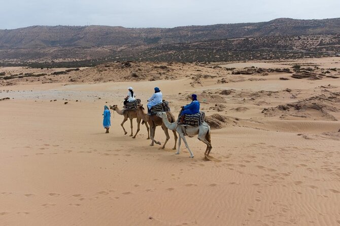 Agadir Sand Dunes and Camel Ride in Tifnit with Lunch - Quick highlights: what you’ll remember