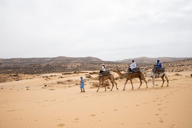 Agadir Sand Dunes and Camel Ride in Tifnit with Lunch - Morning Pickup From Agadir: the day starts in comfort