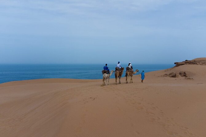 Agadir Sand Dunes and Camel Ride in Tifnit with Lunch - How long is it, and what it feels like: 7 hours of desert momentum