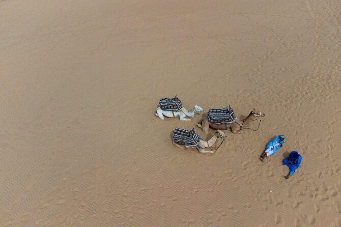 Agadir Sand Dunes and Camel Ride in Tifnit with Lunch - Price and value: is $114.98 a fair deal?