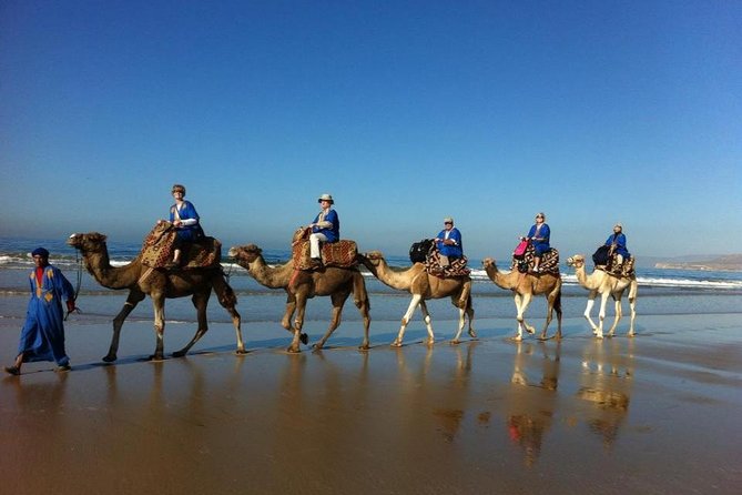 Agadir Sunset Camel Ride with Delicious Couscous & Barbecue - Key Highlights You’ll Actually Care About