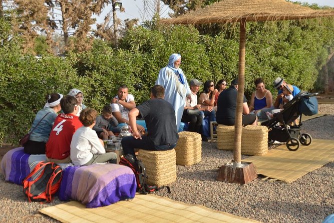 Agadir Sunset Camel Ride with Delicious Couscous & Barbecue - Dromedaries or Horses: What the Ride Is Really Like
