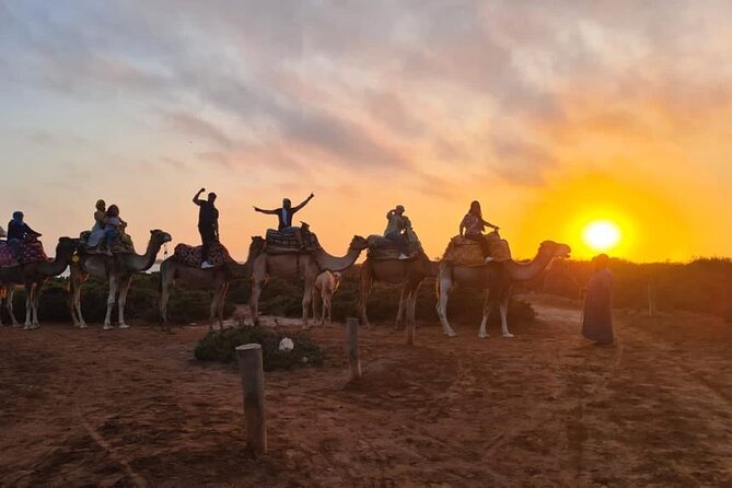 Agadir Sunset Camel Ride with Moroccan Barbecue & Hotel Transfers - Key highlights you’ll actually feel