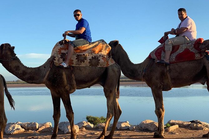Agadir Sunset Camel Ride with Moroccan Barbecue & Hotel Transfers - Sunset Camel Ride Timing and What 3.5 Hours Really Includes