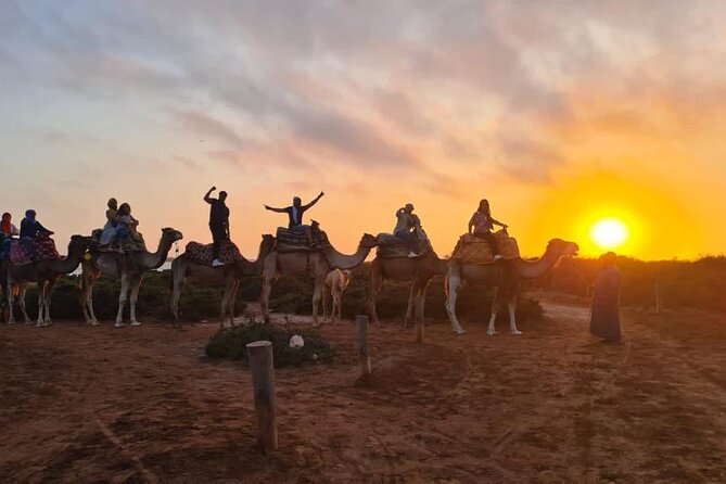 Agadir Sunset Camel Ride with Moroccan Barbecue & Hotel Transfers - Who This Agadir Camel Tour Fits Best (and Who Should Skip It)