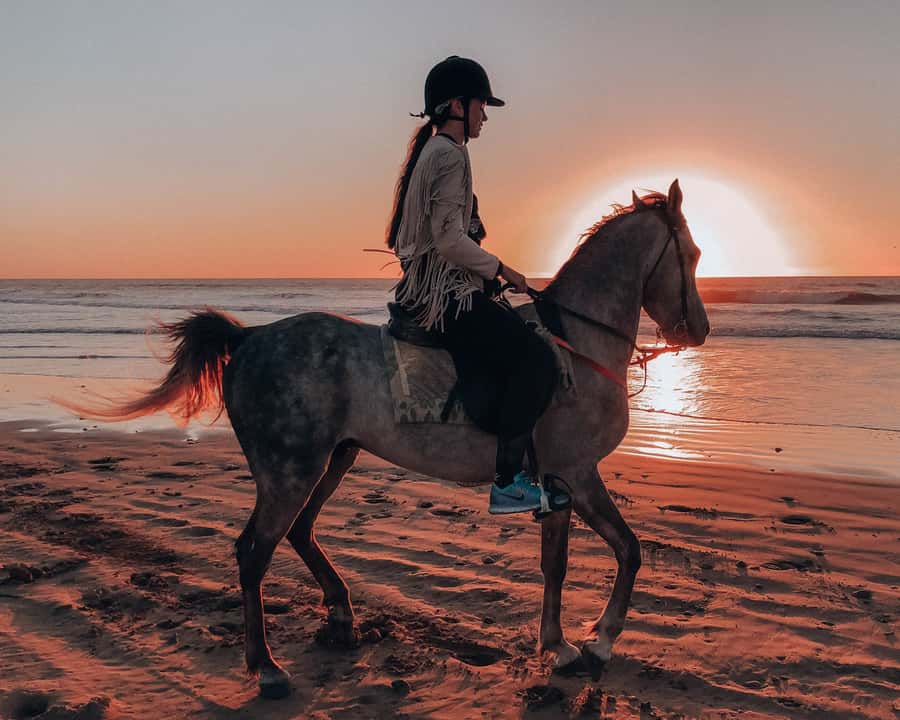 Agadir: Sunset Horse Riding Experience And Relaxing Massage - Why This Sunset Horse + Hammam Combo Actually Works