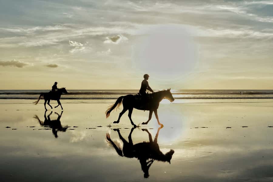 Agadir: Sunset Horse Riding Experience And Relaxing Massage - Matching Your Ride: Beginner-Friendly, With Real Room for Speed
