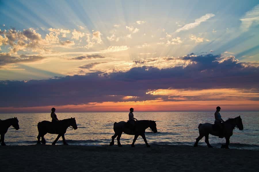 Agadir: Sunset Horse Riding Experience And Relaxing Massage - The 2-Hour Beach Ride on Barb Arabian Horses