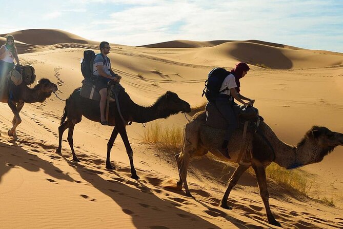 Agadir sunset on Camel Ride With Barbecue - Who Should Book This Camel Ride and BBQ