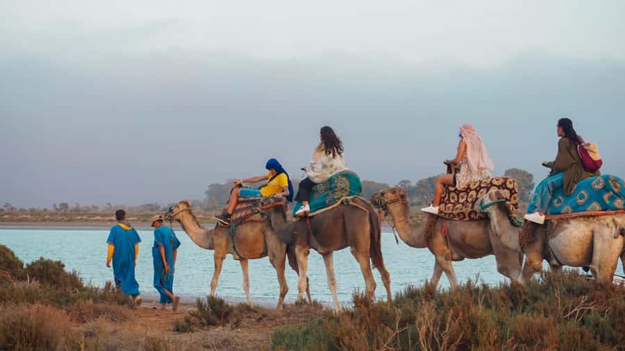 Agadir/Taghazout: Camel Ride with Tea Drink and Transfers - Key things to know before you go