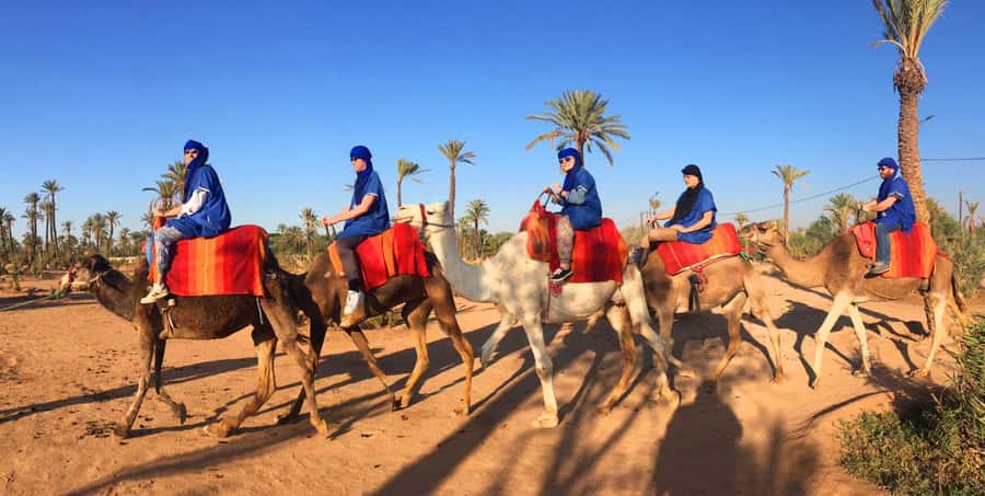 Agadir/Taghazout: Camel Ride with Tea Drink and Transfers - The Camel Guide and the First Minutes on Board