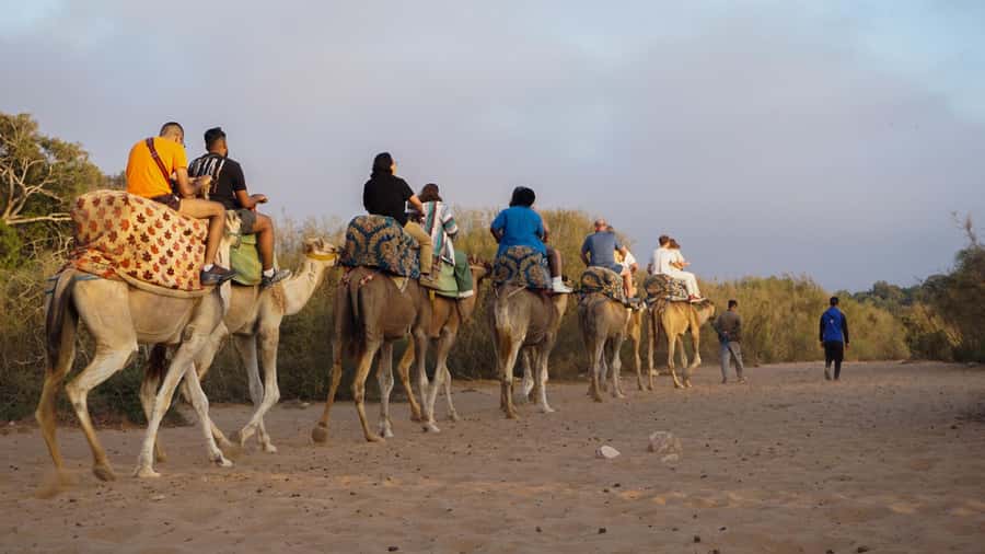 Agadir/Taghazout: Camel Ride with Tea Drink and Transfers - Mint Tea at the End: The Part People Remember