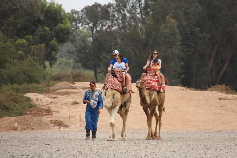 Agadir/Taghazout: Camel Ride with Tea Drink and Transfers - Who This Camel Ride With Tea Is Best For