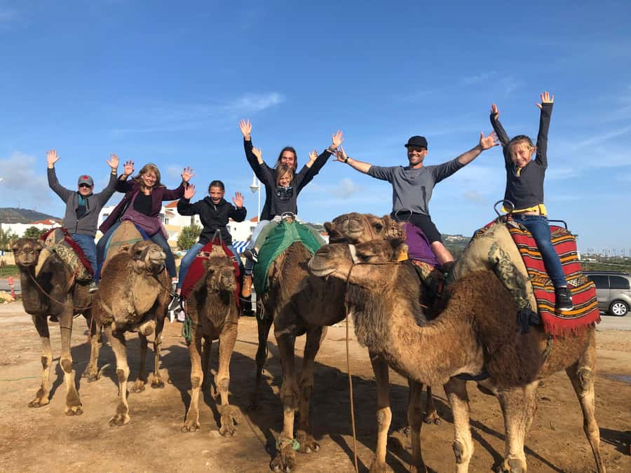 Agadir/Taghazout: Camel Rides with Tea Drink and Transfer - Key Highlights Worth Clearing Your Schedule For