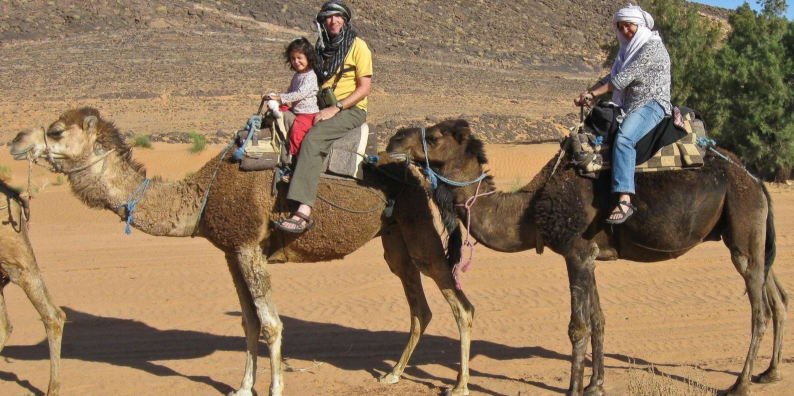 Agadir/Taghazout: Camel Rides with Tea Drink and Transfer - The Ride Through Souss-Massa: Views at Camel Pace