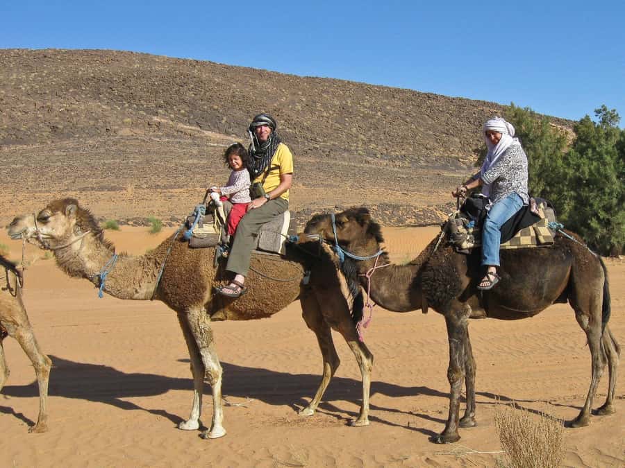 Agadir/Taghazout: Camel Rides with Tea Drink and Transfer - Mint Tea at the End: The Calm-Down Moment You’ll Appreciate