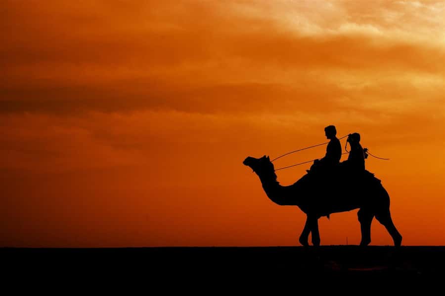 Agadir/Taghazout: Camel Rides with Tea Drink and Transfer - Price and Value: Is $38 a Fair Deal?