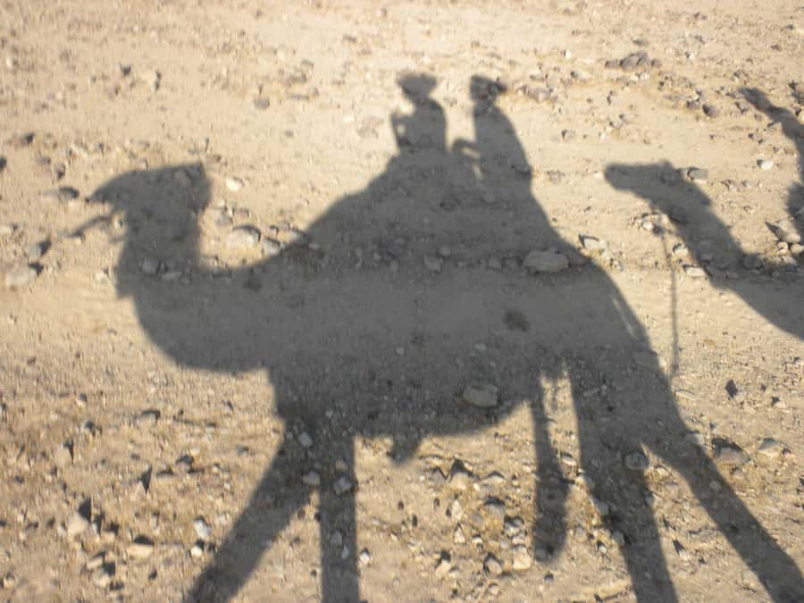 Agadir/Taghazout: Camel Rides with Tea Drink and Transfer - Hotel Pickup and the Real Timing of Your 2-Hour Camel Plan