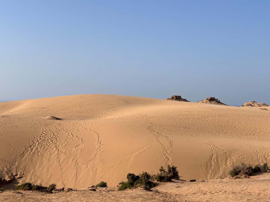 Agadir: Taghazout, Colorful village & Timlaline Desert Trip - Taghazout to Timlaline: the quick-change Morocco day