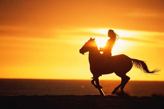 Agadir/Taghazout Horse Ride on the beach - Key Details That Matter