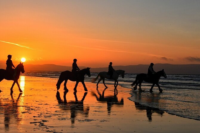Agadir/Taghazout Horse Ride on the beach - From Ranch to Shore: The 6 km Run That Builds the Moment