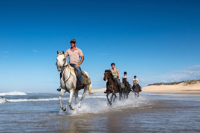 Agadir/Taghazout Horse Ride on the beach - Mint Tea Back at the Ranch: A Slower Finish