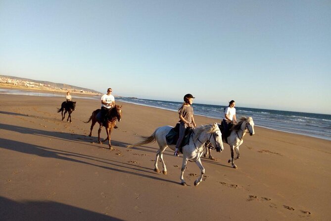 Agadir/Taghazout Horse Ride on the beach - Price and Value: What $30.20 Really Buys You
