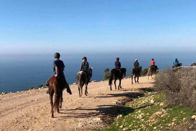 Agadir/Taghazout Horse Ride on the beach - Who Should Book This Horse Ride (and Who Might Hesitate)