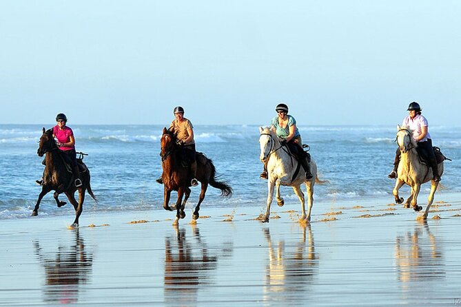 Agadir/Taghazout Horse Ride on the beach - Getting Picked Up Smoothly (and What to Expect Before You Ride)