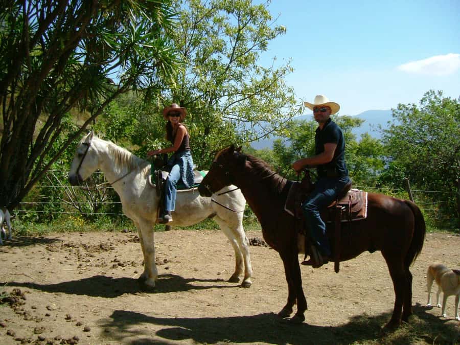 Agadir/Taghazout: Horse Rides Experience With Transfers - Getting Picked Up in Agadir and Mounting Without Stress