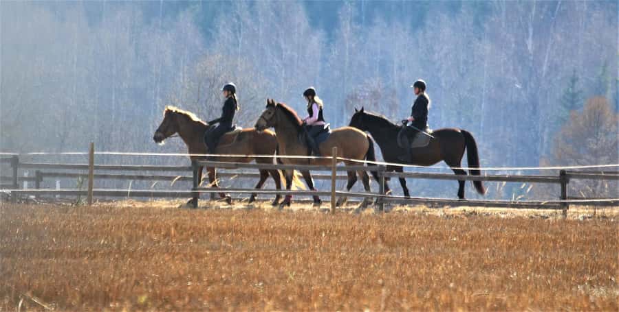 Agadir/Taghazout: Horse Rides Experience With Transfers - Price and Value: Is $23 a Good Deal?