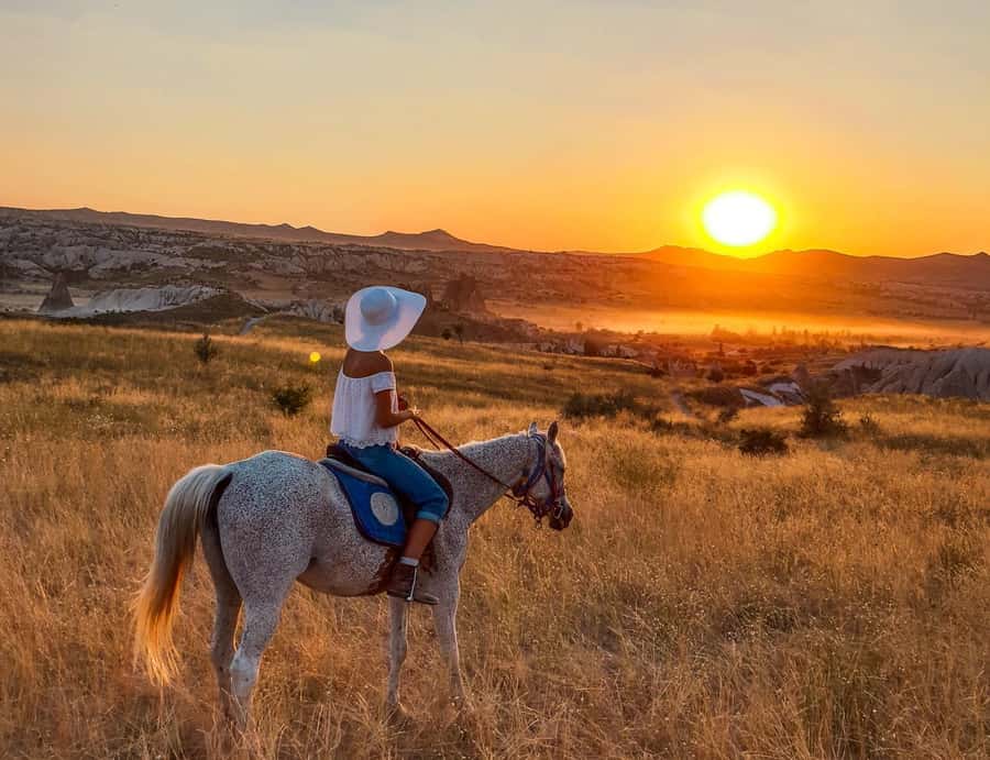 Agadir/Taghazout: Horse Rides Experience With Transfers - What’s Included in the Agadir Transfers and Guided Ride