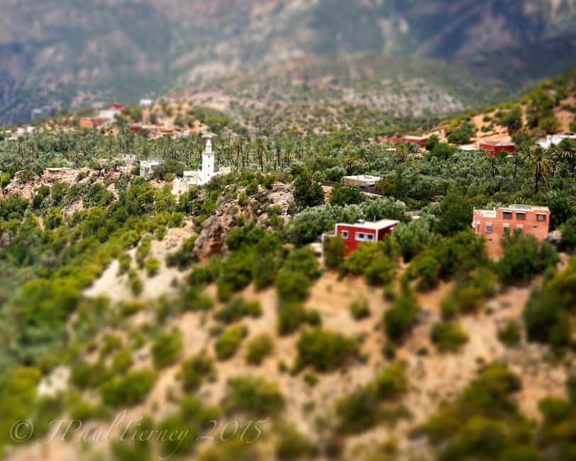 Agadir/Taghazout: Paradise Valley Atlas Mountains Day Trip - Botanic garden and women’s argan work: a cultural stop that isn’t just shopping