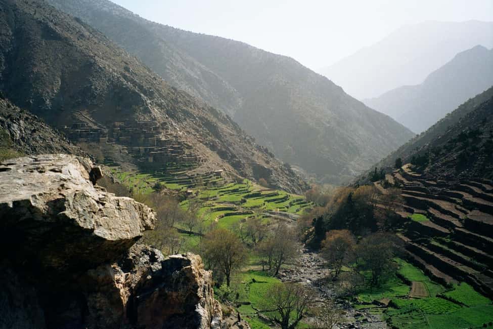 Agadir/Taghazout: Paradise Valley Atlas Mountains Trip - Optional cliff-jumping: fun, but choose your level and timing