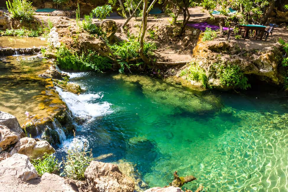 Agadir/Taghazout: Paradise Valley Half-Day Tour with Lunch - Paradise Valley, Honey Road, and a Quick Escape from the Coast