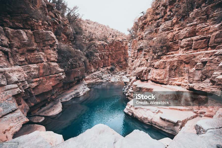 Agadir/Taghazout : Paradise Valley & Sandboarding with Lunch - Argan factory and photo stops: short culture, not a full-day commitment