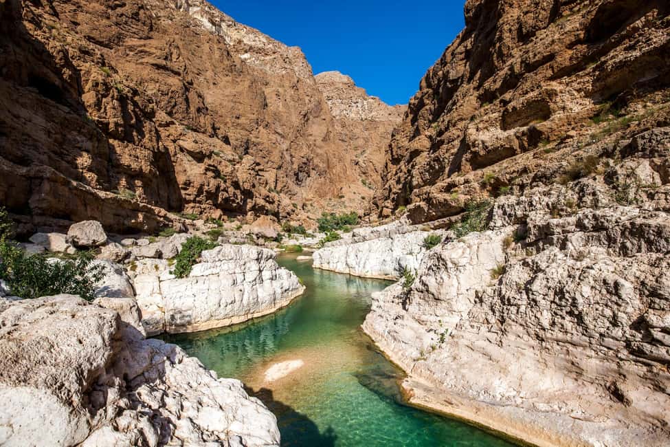 Agadir/Taghazout: Paradise Valley Tour to Atlas Mountains - Women’s Argan Oil Center: how a shopping stop turns into a learning moment