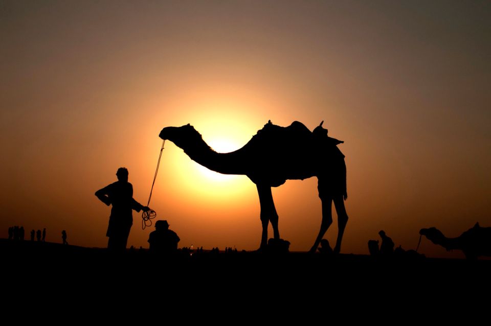 Agadir/Taghazout/Port: Camel Ride Tea & BBQ Option - Price and value: is $22 worth it?