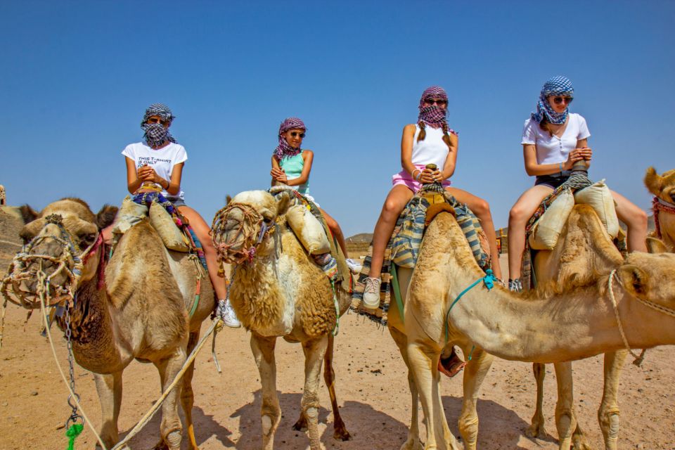 Agadir/Taghazout/Port: Camel Ride Tea & BBQ Option - Oued Sous: where flamingos show up, if you’re lucky