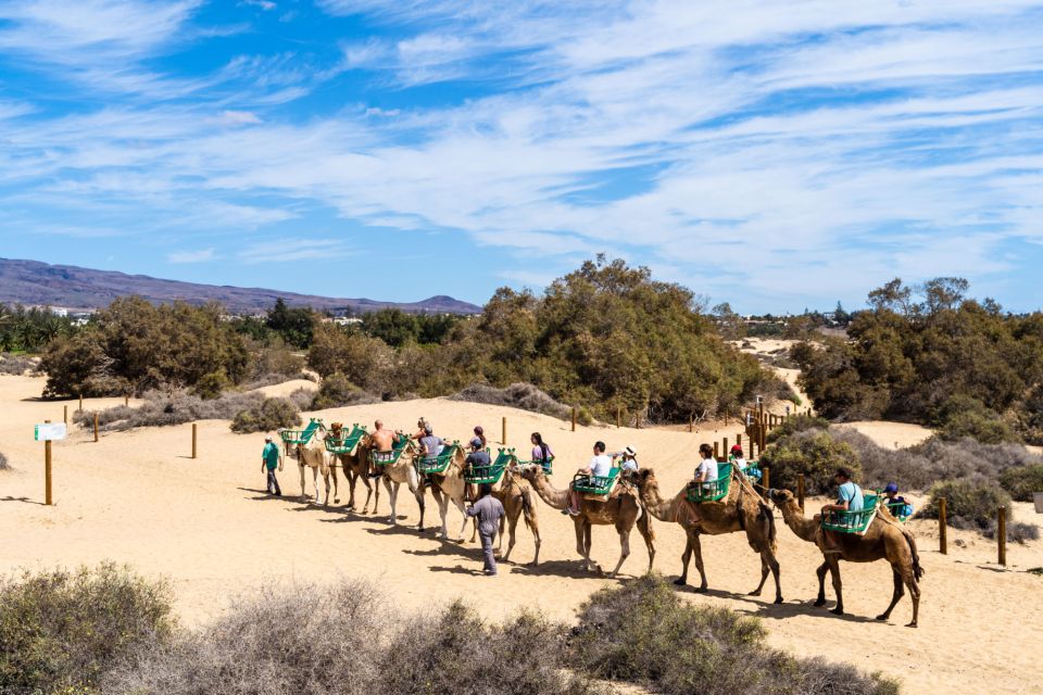 Agadir/Taghazout/Port: Camel Ride Tea & BBQ Option - Riding the river route: what the camel ride feels like