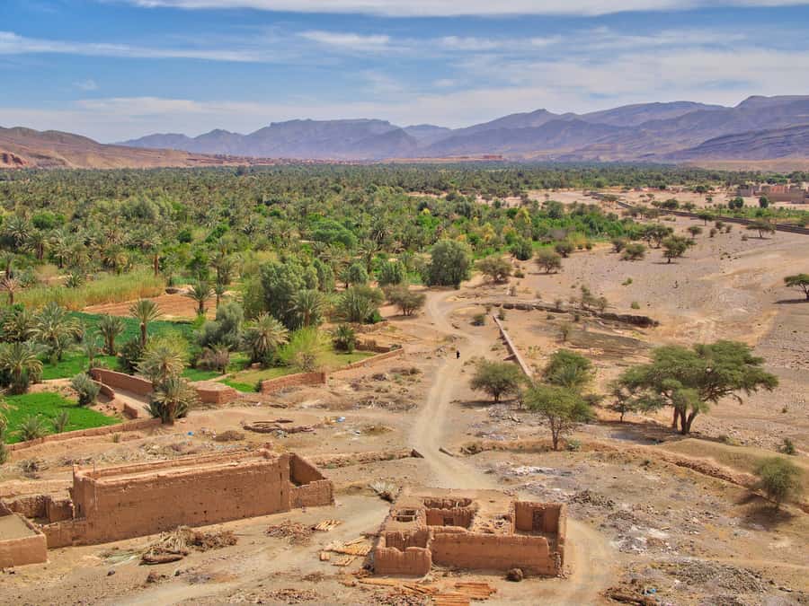 Agadir/Taghazout/Port: Paradise Valley Atlas Mountains Trip - Who This Trip Fits Best (and Who Might Prefer Something Else)