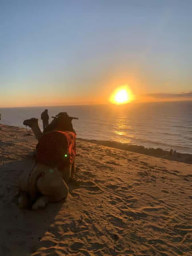 Agadir/Taghazout : Quad Bike & Camel Ride On The Beach - Guides, Photos, and Small Things That Make It Worth It