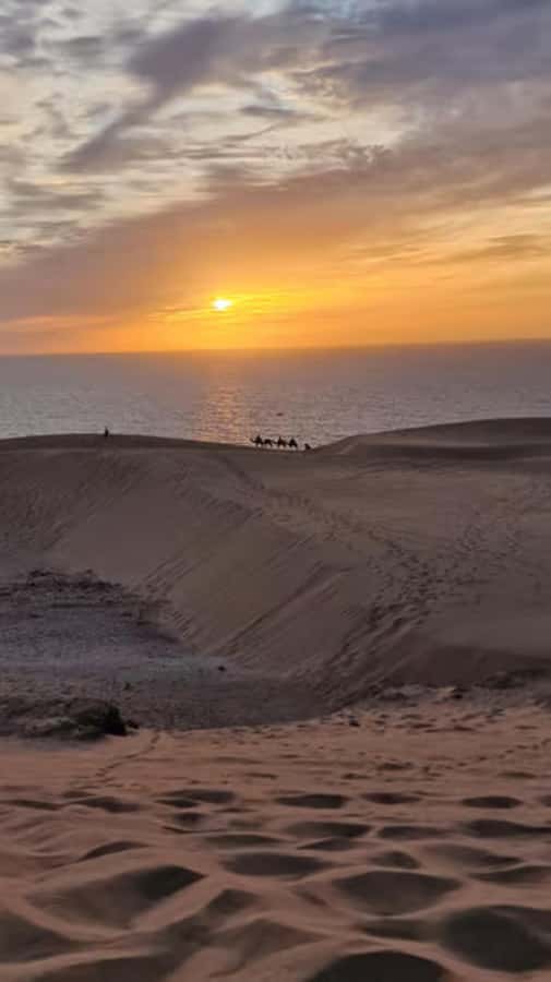 Agadir/Taghazout : Quad Bike & Camel Ride On The Beach - Who Should Book This Quad Bike and Camel Combo