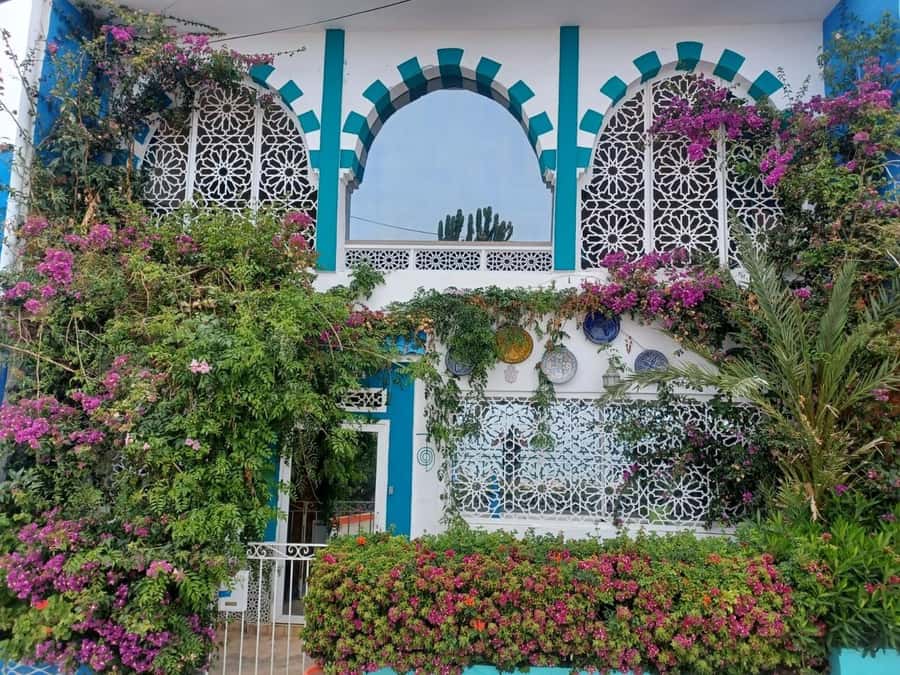 Agadir/Taghazout: Sandboarding & Visit of Canyons With Lunch - Key highlights worth getting excited about